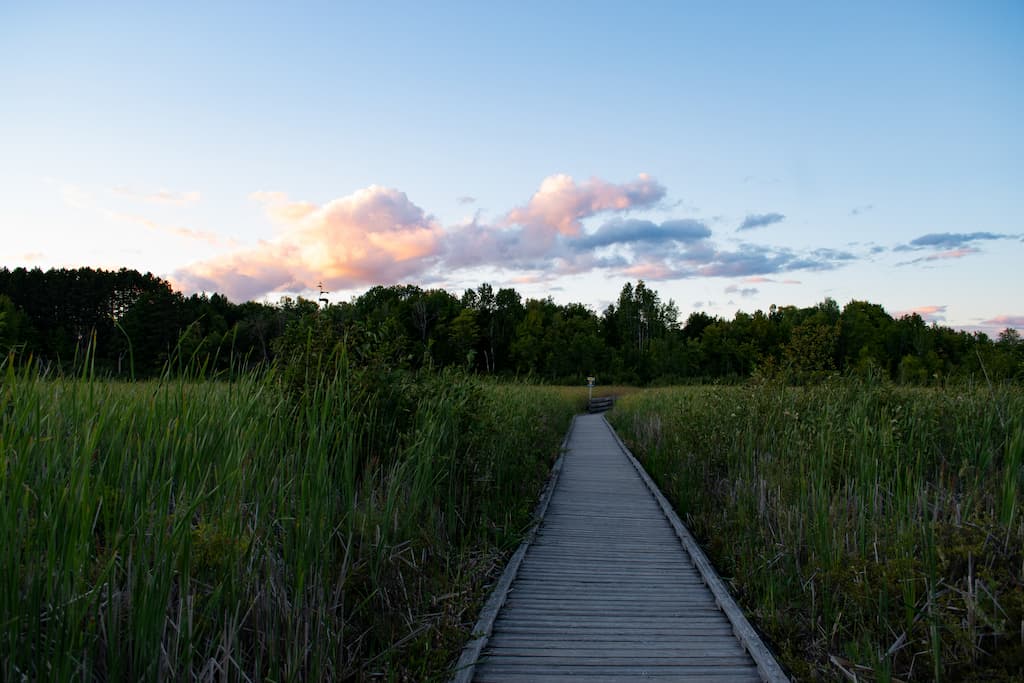 資本利得+股利=投資報酬率，投資三大常見名詞