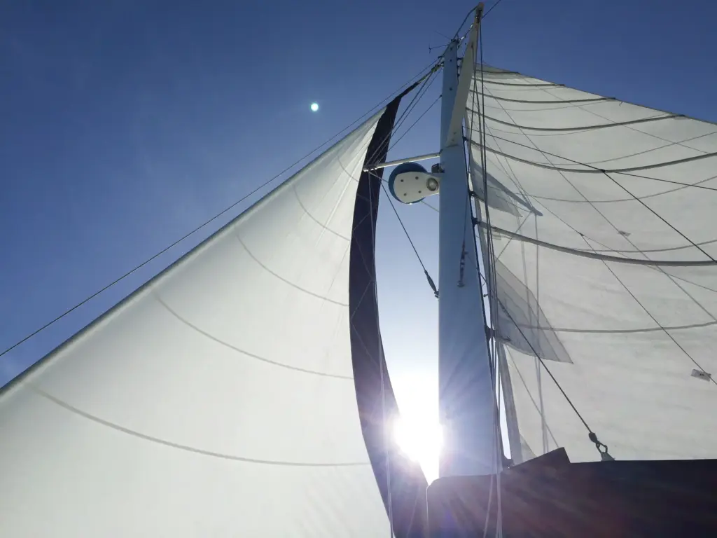 當理性的數學遇上感性的莎士比亞